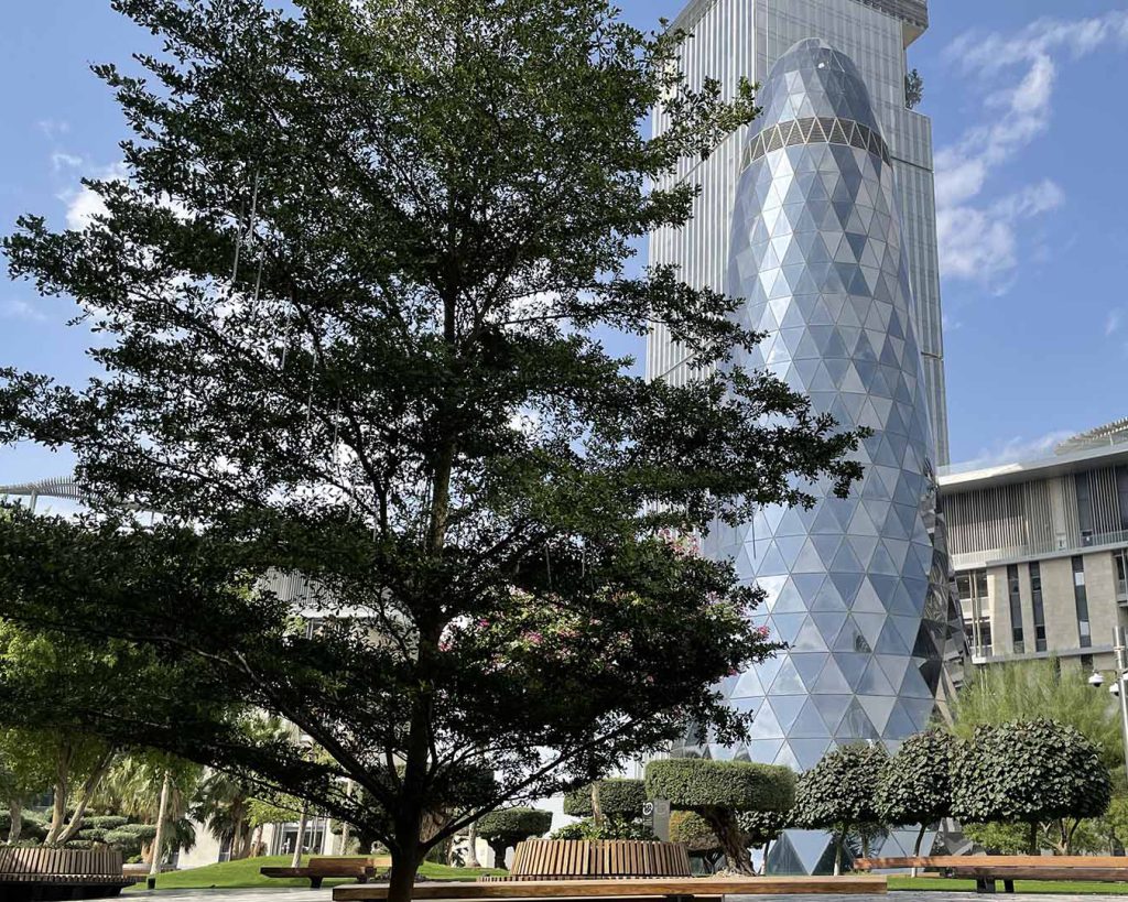 Doha Oasis | Hotel